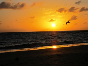 El don de hablar en lenguas a la luz de las Escrituras
