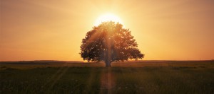 El secreto de Dios para bendecir nuestras vidas y la de nuestra familia