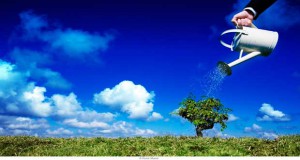 Decídase a cumplir el propósito y misión de Dios para su vida