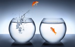 El fundamento para una vida exitosa