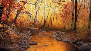 El pecado: sus consecuencias y el perdón divino