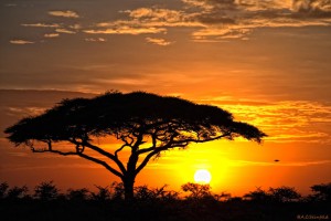 Confrontación espiritual y victoria total