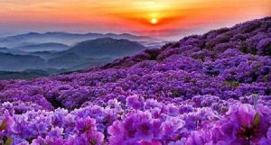 ¿Podemos llegar a conocer a Dios?