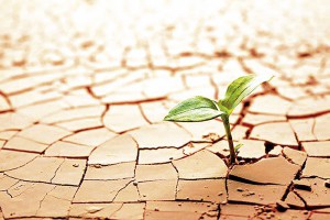 Aproveche la segunda oportunidad que Dios ofrece