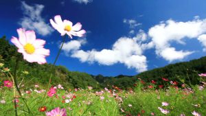 Una ruta eficaz para conquistar grandes sueños