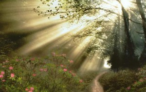 Usted decide cambiar desde hoy su propio mañana