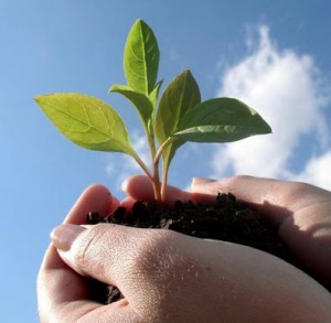 ¿Has reflexionado en el llamado que te hizo Dios al ministerio cristiano?